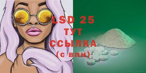 шишки Болхов
