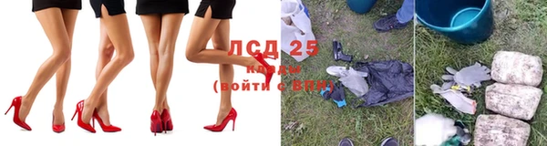 крисы Болохово