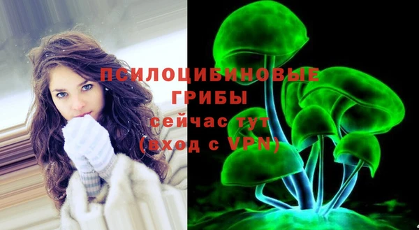 крисы Болохово