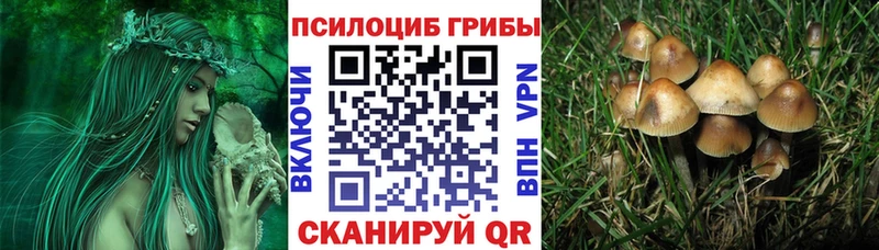 Галлюциногенные грибы прущие грибы  Киселёвск 